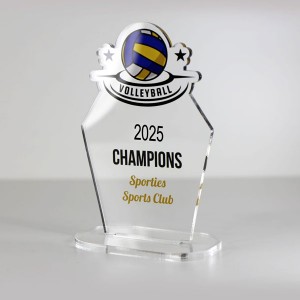 acrylic trophy (5)